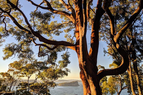 Manly & Sydney's Northern Beaches With 'Personalised Sydney Tours' - Hotel NSW 4