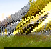 2-Day Private Daylesford  Macedon Ranges Gourmet Food Trail Tour from Melbourne - Hotel NSW