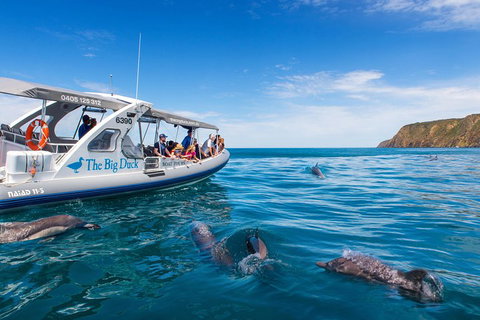 Victor Harbor And McLaren Vale Wine Region Day Tour - Hotel NSW 1