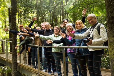 All Inclusive Blue Mountains Small-Group Day Trip From Sydney - Hotel NSW 5