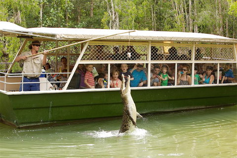 Hartley's Crocodile Adventure Half-Day Tour - Hotel NSW 0