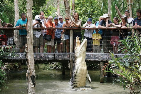 Hartley's Crocodile Adventure Half-Day Tour - Hotel NSW 1