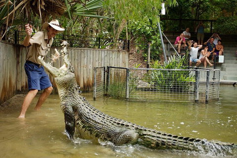 Hartley's Crocodile Adventure Half-Day Tour - Hotel NSW 2