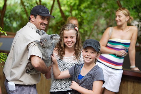 Hartley's Crocodile Adventure Half-Day Tour - Hotel NSW 3