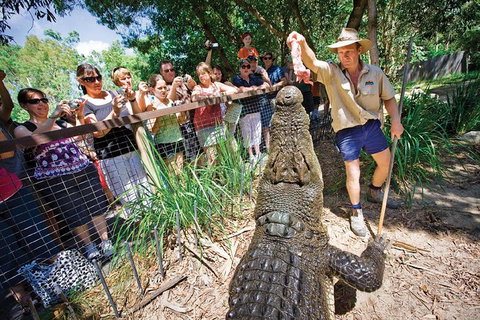 Hartley's Crocodile Adventure Half-Day Tour - Hotel NSW 4