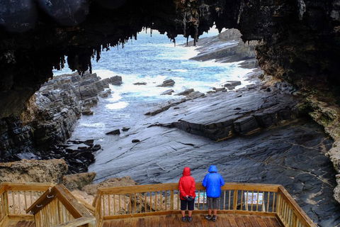 Full-Day Kangaroo Island Safari From Penneshaw - Hotel NSW 1