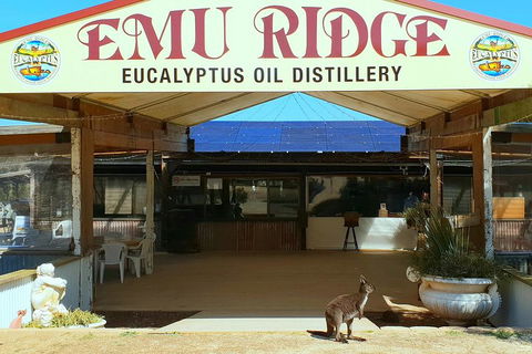 Full-Day Kangaroo Island Safari From Penneshaw - Hotel NSW 2