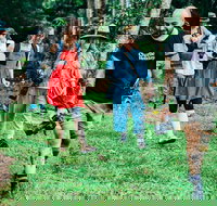 Let's Go Buggin  Let's Go Shroomin - Photography  Nature Walking Tours - Hotel NSW