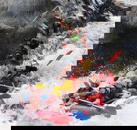 Barron Gorge National Park Half-Day White Water Rafting from Cairns or Port Douglas - Hotel NSW