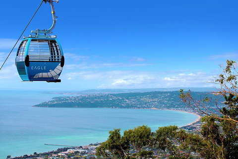 Peninsula Hot Springs Tour With Restaurant Lunch & Gondola Ride - Hotel NSW 1