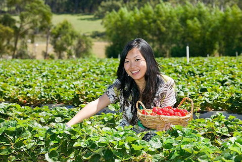 Peninsula Hot Springs Tour With Restaurant Lunch & Gondola Ride - Hotel NSW 5