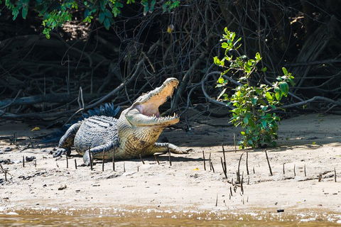 Full Day Cooktown Private Tour - Hotel NSW 4