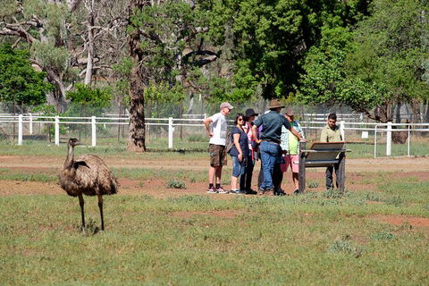 Yura Udnyu - Our Culture, Your Culture (Aboriginal Cultural Walk) - Hotel NSW 1
