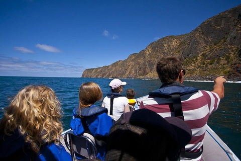 Seal Island Boat Tour From Victor Harbor - Hotel NSW 0