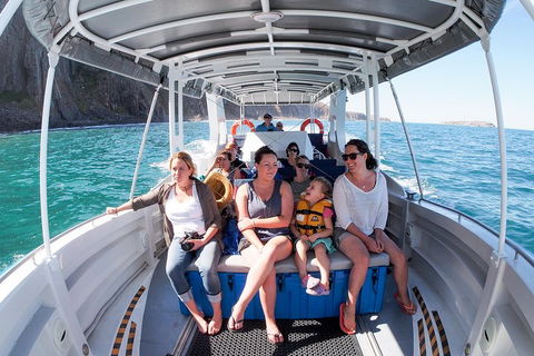 Seal Island Boat Tour From Victor Harbor - Hotel NSW 1