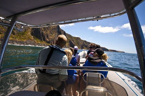 Seal Island Boat Tour From Victor Harbor - Hotel NSW 2