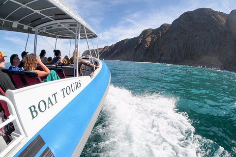 Southern Ocean Adventure From Victor Harbor - Hotel NSW 0