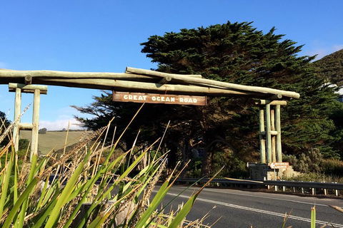 Melbourne Super Saver: Great Ocean Road + Wilsons Promontory + Attraction Pass - Hotel NSW 1