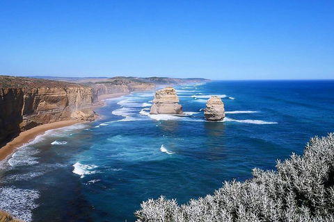 Melbourne Super Saver: Great Ocean Road + Wilsons Promontory + Attraction Pass - Hotel NSW 5