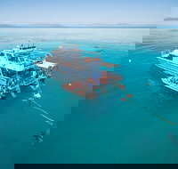 Ocean Freedom Great Barrier Reef Personal Luxury Snorkel  Dive Cruise Cairns - Hotel NSW