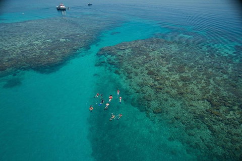 Ocean Freedom Great Barrier Reef Personal Luxury Snorkel & Dive Cruise, Cairns - Hotel NSW 3