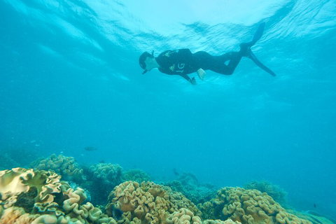 Ocean Freedom Great Barrier Reef Personal Luxury Snorkel & Dive Cruise, Cairns - Hotel NSW 5