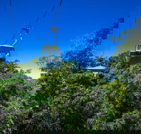 Classic Kuranda by Skyrail and Scenic Railway Including Rainforestation Koala and Wildlife Park and Pamagirri Aboriginal Experi - Hotel NSW