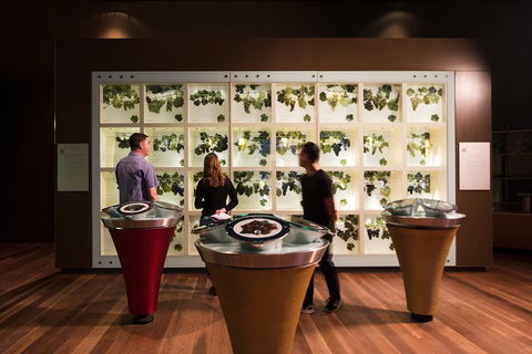 Australian Wine Discovery Tour Ticket - Hotel NSW 3