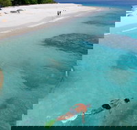 Fitzroy Island Day Trip from Cairns - Hotel NSW