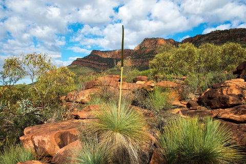 6-Day Eyre Peninsula & Flinders Ranges Adventure Tour - Hotel NSW 1