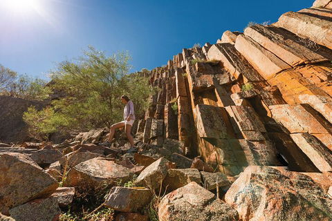 6-Day Eyre Peninsula & Flinders Ranges Adventure Tour - Hotel NSW 4