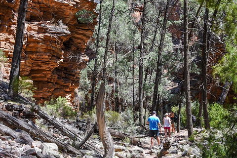 6-Day Eyre Peninsula & Flinders Ranges Adventure Tour - Hotel NSW 5