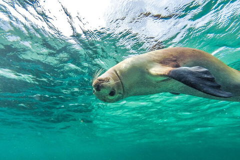 10-Day Adelaide To Perth Adventure Tour - Hotel NSW 1