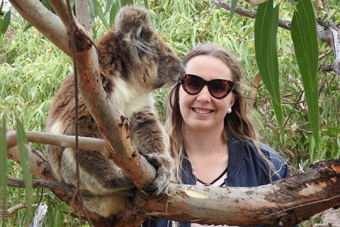 10-Day Adelaide To Perth Adventure Tour - Hotel NSW 3