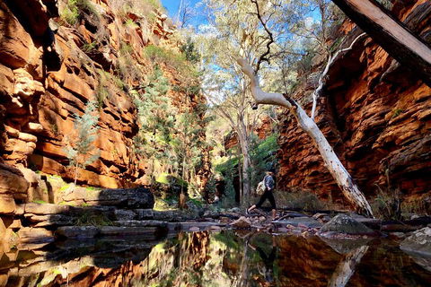 10-Day Adelaide To Perth Adventure Tour - Hotel NSW 5