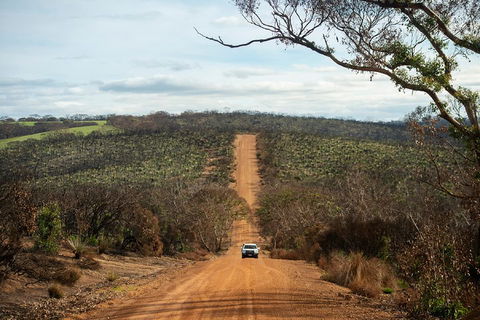 NEW TOUR - Kangaroo Island Road To Recovery Tour (1 Day/1 Night) - Hotel NSW 2