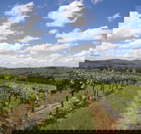 Hunter Valley Wine Tour from Sydney incl Lunch Cheese Chocolate and Distillery - Hotel NSW