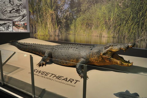 Explore Darwin City Sights Including Key Attractions - Hotel NSW 2