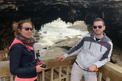 Kangaroo Island 4WD Tour - Best Of KI - Hotel NSW 0