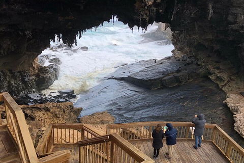 Kangaroo Island 4WD Tour - Best Of KI - Hotel NSW 1