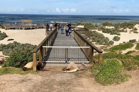 Kangaroo Island 4WD Tour - Best Of KI - Hotel NSW 2