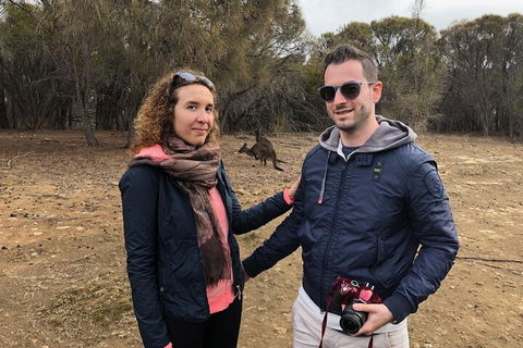 Kangaroo Island 4WD Tour - Best Of KI - Hotel NSW 3